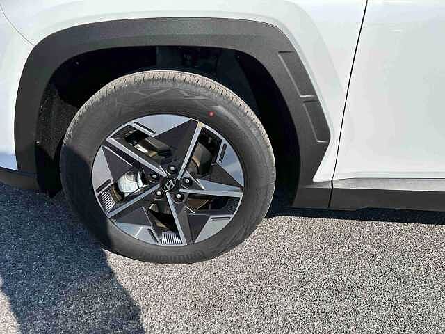 Hyundai TUCSON TUCSON 1.6 hev Business 2wd 239cv auto
