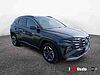 Hyundai TUCSON III 2024 Tucson 1.6 hev Business 2wd auto green