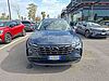 Hyundai TUCSON III 2021 Tucson 1.6 crdi 48V Xline 2wd imt blue