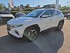 Hyundai TUCSON Hybrid 1.6 HEV 2wd 230cv Exellence Auto Bianco