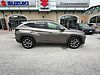 Hyundai TUCSON 1.6 CRDi MHEV 2wd 136cv Xline-Smart Sense+Advanced Marrone