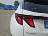 Hyundai TUCSON 1.6 HEV BUSINESS 2WD 215CV AUTO Bianco