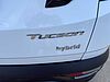 Hyundai TUCSON 1.6 HEV XLINE 2WD AUTO Bianco