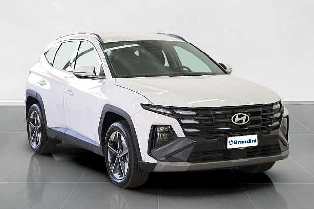 Hyundai TUCSON TUCSON PE 1.6PHEV AT 2WD BUSINESS+(C)