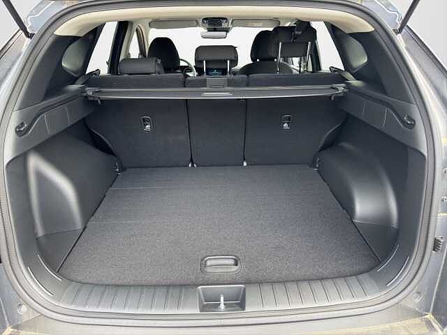 Hyundai TUCSON TUCSON PE 1.6PHEV AT 2WD BUSINESS+(C)