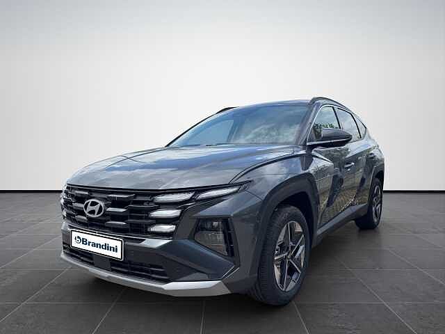 Hyundai TUCSON TUCSON PE 1.6PHEV AT 2WD BUSINESS+(C)