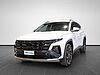 Hyundai TUCSON TUCSON PE 1.6PHEV AT 2WD EXELLENCE+(C) white