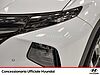 Hyundai Tucson 1.6 crdi 48v exellence 2wd dct BIANCO