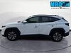 Hyundai Tucson 1.6 HEV aut. XLine Bianco
