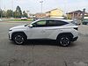 Hyundai TUCSON 1.6 CRDi MHEV 2wd 136cv Business DCT Bianco