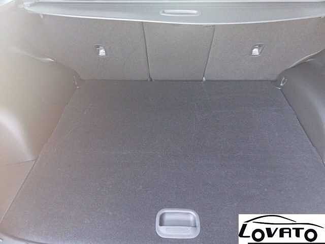 Hyundai TUCSON TUCSON NEW 1.6HEV AT 230 EXELLENCE 21