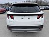Hyundai Tucson 1.6 T-GDI 48V DCT Business Bianco