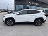 Hyundai Tucson 1.6 T-GDI 48V DCT Business Bianco