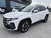Hyundai Tucson 1.6 CRDI 48V DCT Business Bianco