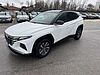 Hyundai TUCSON 1.6 HEV 2wd 230cv Xline Auto Bianco
