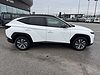 Hyundai TUCSON 1.6 HEV 2wd 230cv Xline Auto Bianco