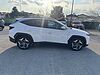 Hyundai TUCSON 1.6 CRDi MHEV 2wd 136cv Exellence DCT Bianco