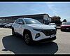 Hyundai TUCSON III 2021 Tucson 1.6 hev Xline 2wd auto white