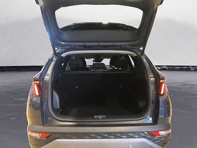 Hyundai TUCSON TUCSON 1.6 hev Exellence 2wd auto