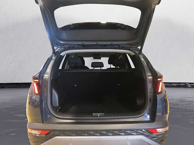 Hyundai TUCSON TUCSON 1.6 hev Exellence 2wd auto