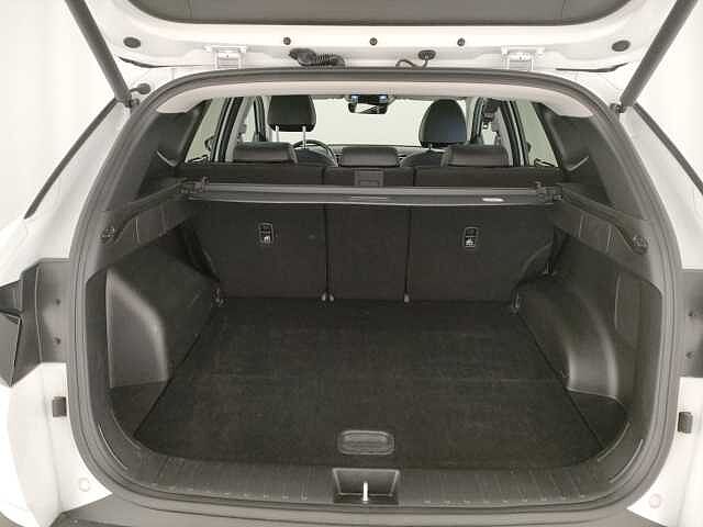 Hyundai TUCSON TUCSON 1.6 hev Exellence 2wd auto