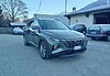 Hyundai Tucson III 2021 Tucson 1.6 t-gdi 48V Exellence 2wd imt green